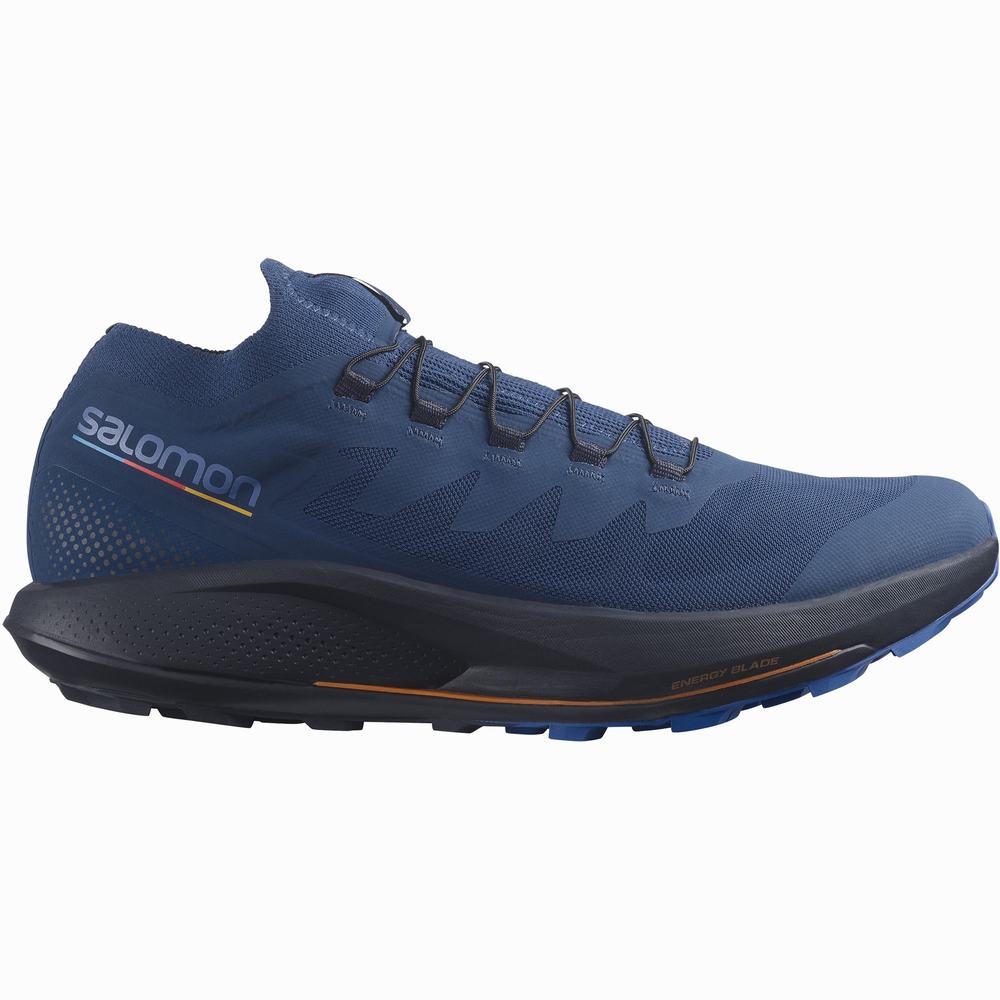 Chaussures Trail Running Salomon Pulsar Trail Pro Homme Bleu | France-4902573