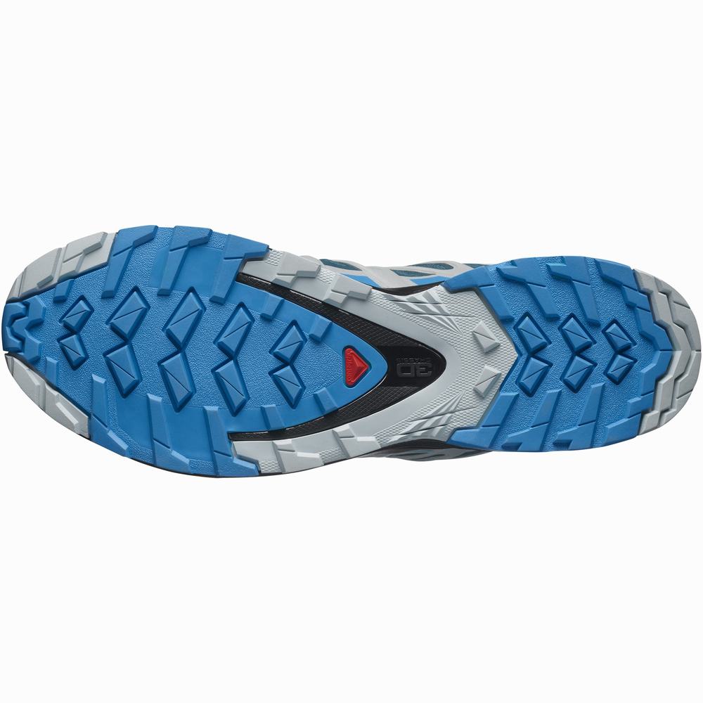 Chaussures Randonnée Salomon Xa Pro 3d V8 Gore-tex Homme Bleu | France-4275368